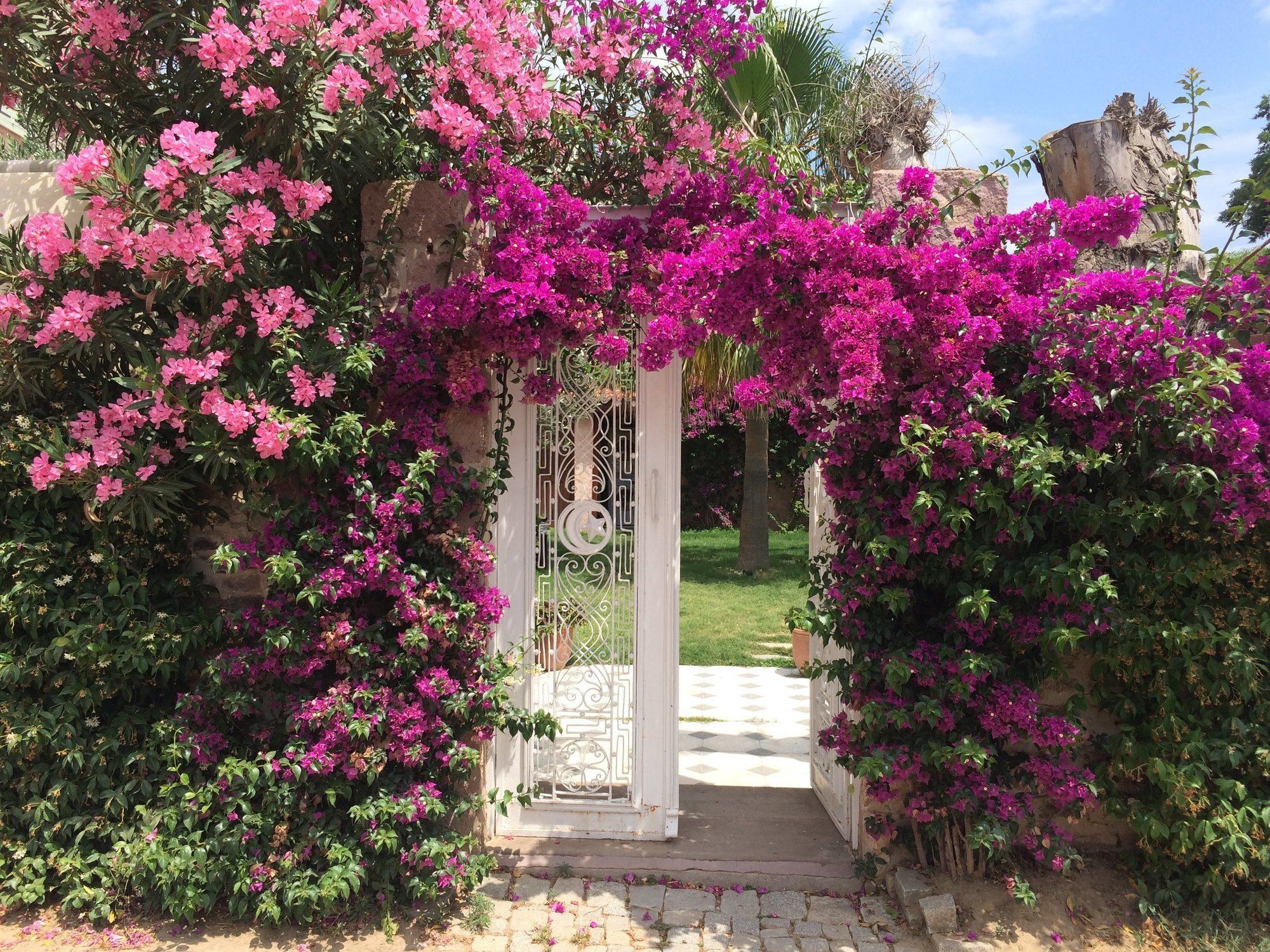 Cunda Has Konak Butik Otel Ayvalı Exterior foto